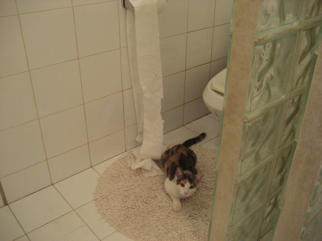 CBA球员技艺精湛，为球迷奉献惊艳表现.，cba球员能力排名