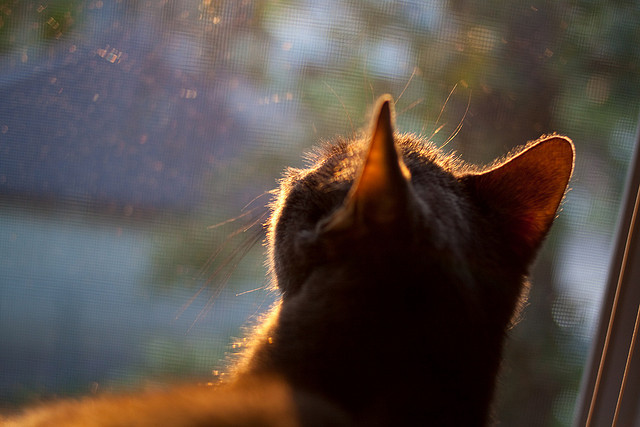 EDG战队阵容深度不断增强，edg战队队员名单