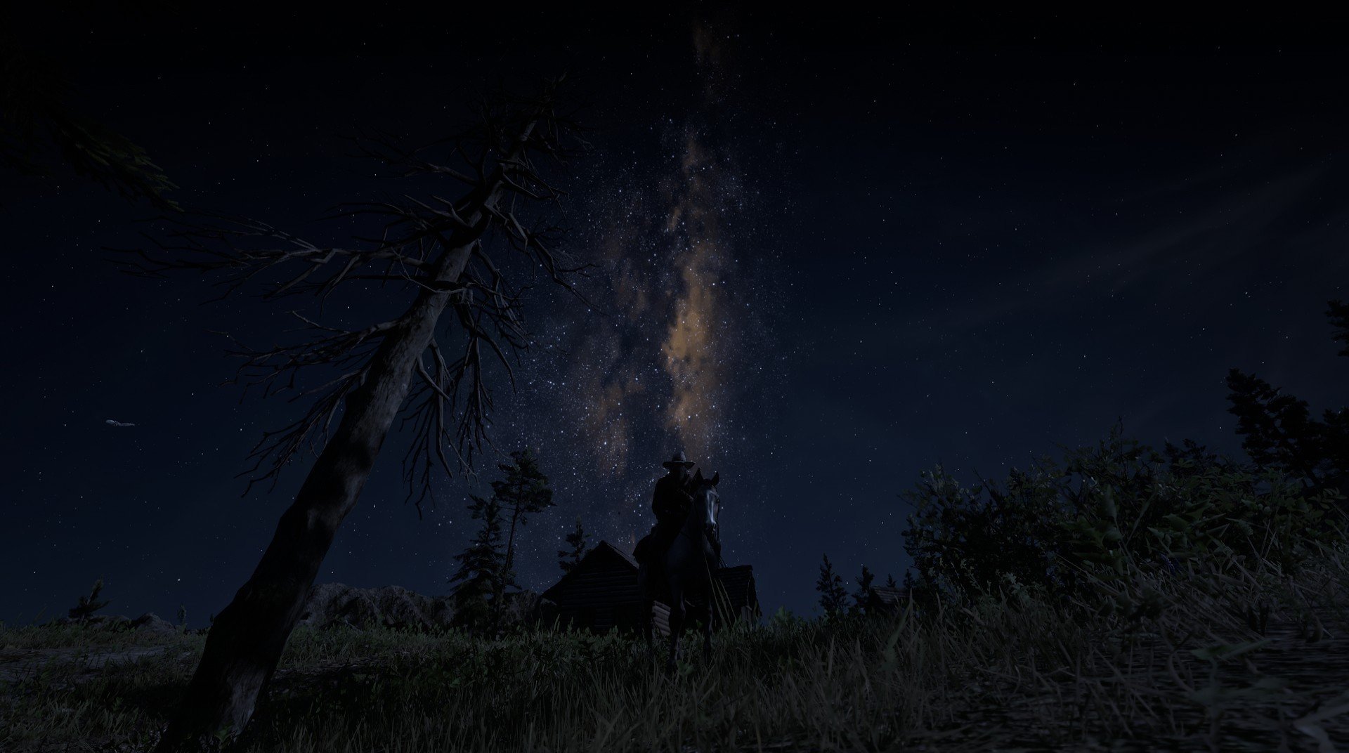 体育瞬间：辽宁队球员势不可挡取得胜利，辽宁队 球员