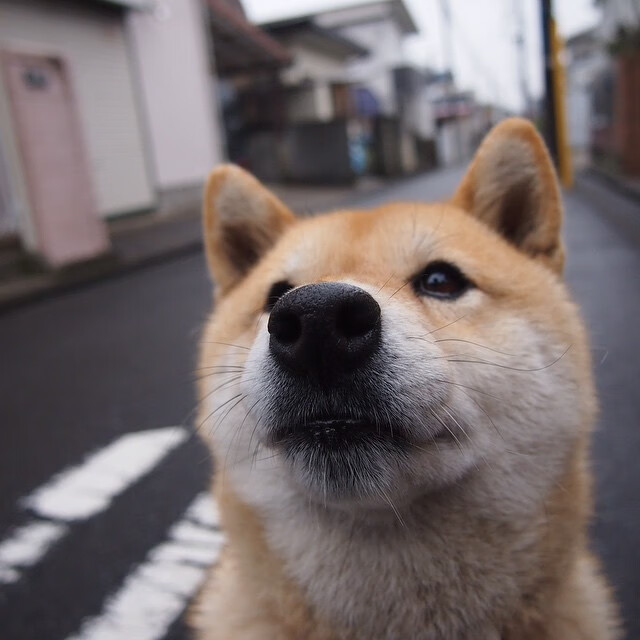墨西哥足球在冬奥“踢出热带风暴”