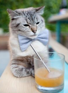 AYX爱游戏中国-意大利球队掘金南美市场，转会传闻曝光，意大利队球迷