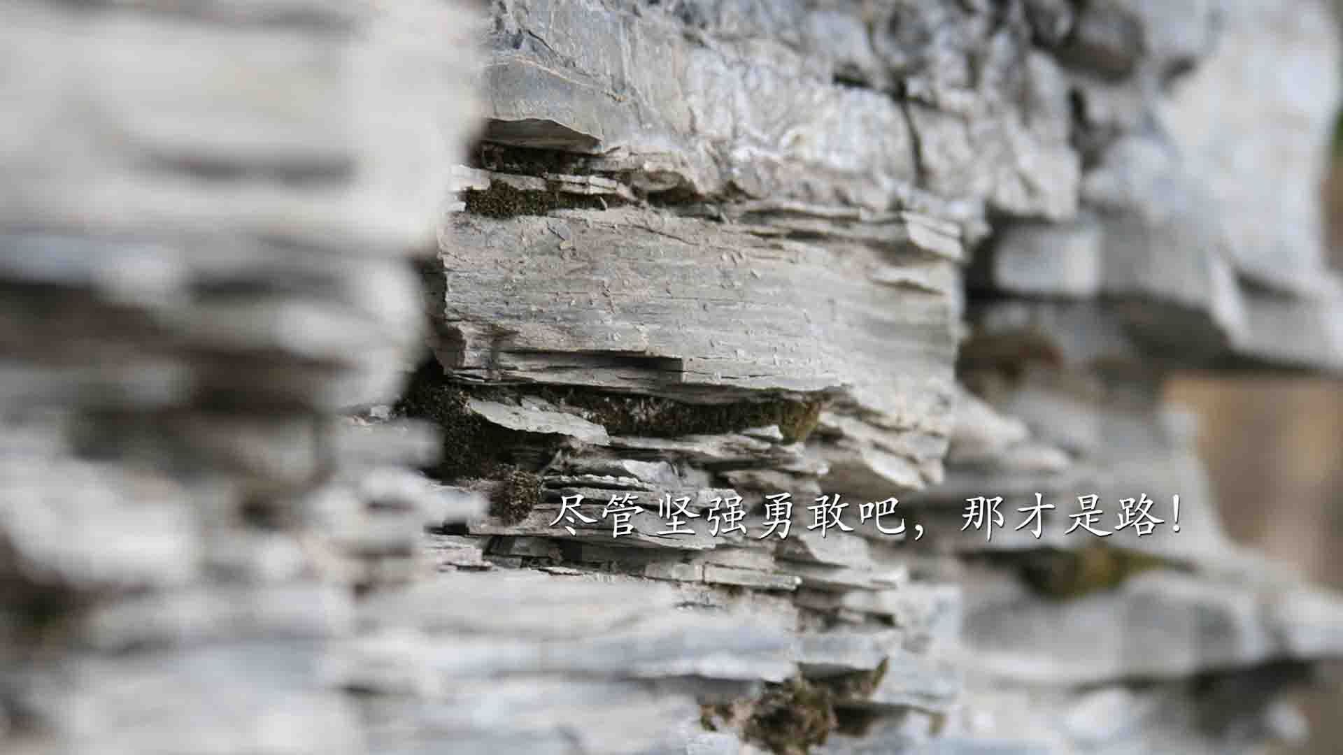 爱游戏官方主页-体育新闻中心助力传统体育项目数字资产重塑，体育数字化建设